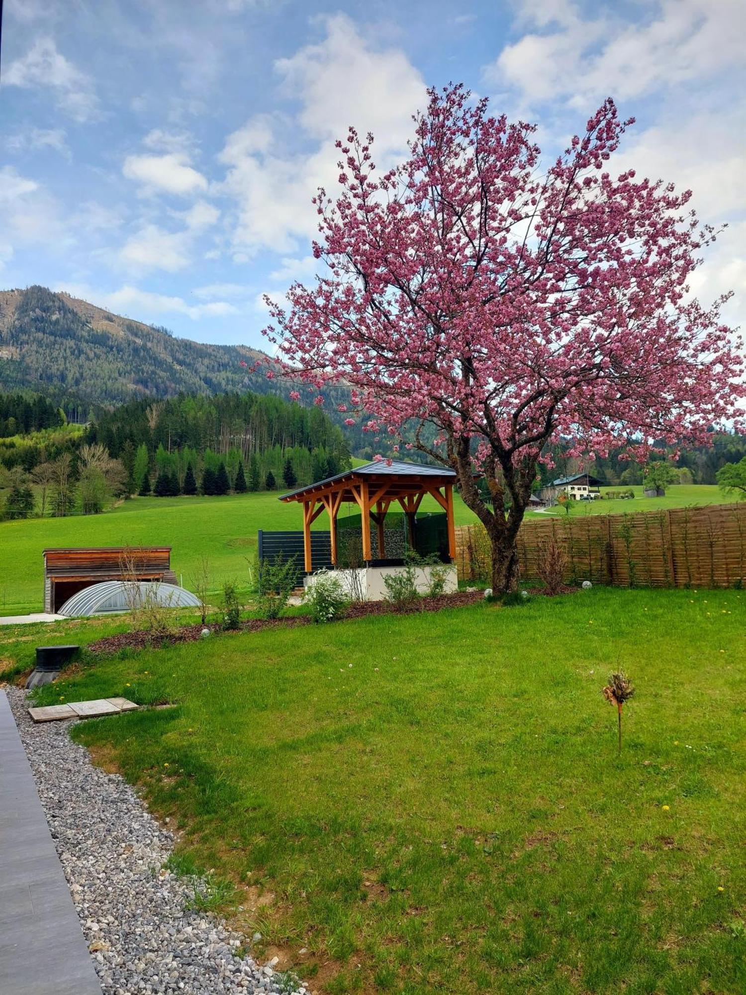 Hofpower'S Mountain Feeling Apartment Hinterstoder Luaran gambar